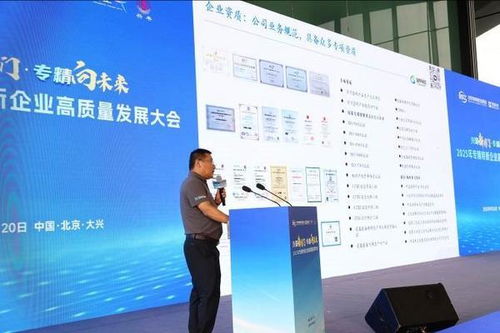 興聚新國(guó)門(mén)，專(zhuān)精向未來(lái) 2025專(zhuān)精特新企業(yè)高質(zhì)量發(fā)展大會(huì)在京舉行，聚焦信息技術(shù)咨詢(xún)服務(wù)新動(dòng)能